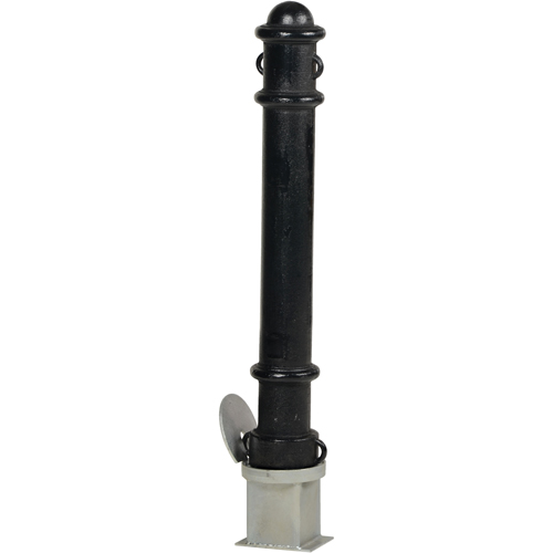 Bornes d&eacute;coratives amovibles, Acier, 40" h x 4-1/2" la, Noir Advanced Consulting and Training Ltd.