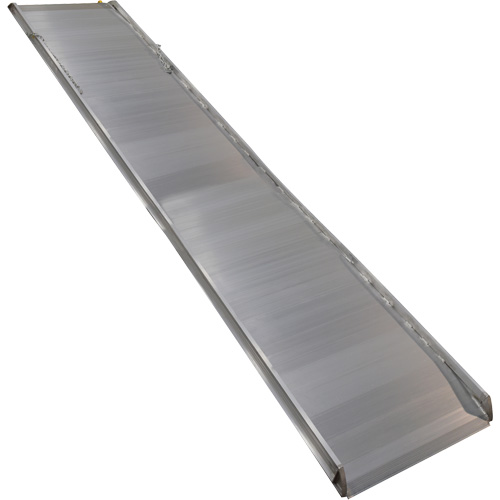 Rampe de promenade en aluminium, Capacit&eacute; de 1000 lb, 38" la x 193-1/8" lo Advanced Consulting and Training Ltd.