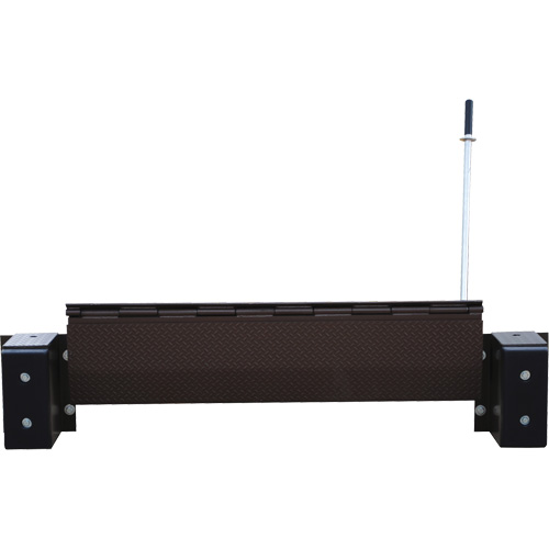 Mechanical Edge-O-Dock Leveler, 99" W, 72" Deck Width, 29" Span Advanced Consulting and Training Ltd.