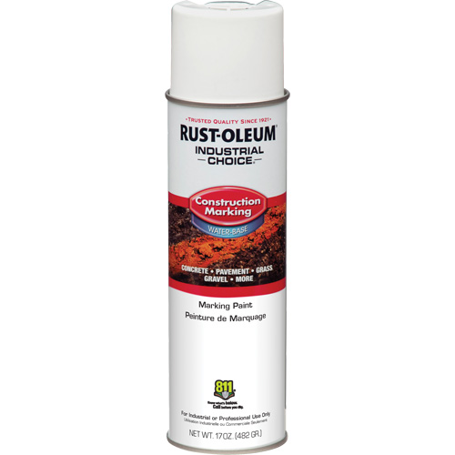 Peinture de marquage &agrave; base d'eau, 17 oz, Canette a&eacute;rosol Advanced Consulting and Training Ltd.
