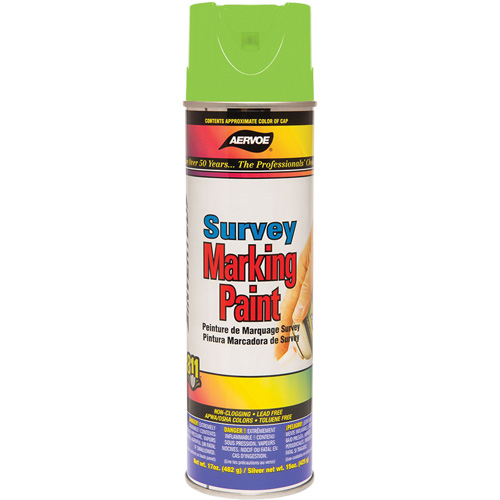 Peinture de marquage polyvalente, 17 oz, Canette a&eacute;rosol Advanced Consulting and Training Ltd.