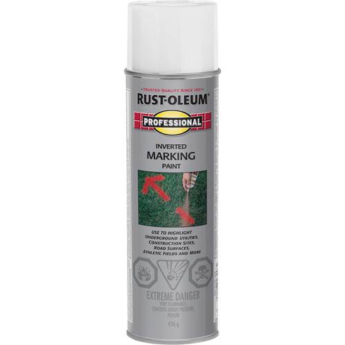 Inverted Marking Paint Spray, 426 g, Aerosol Can Advanced Consulting and Training Ltd.