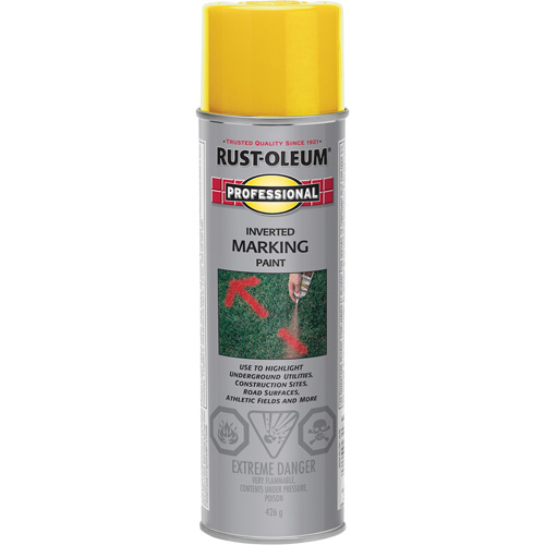 Peinture de marquage renvers&eacute; en a&eacute;rosol, 426 g, Canette a&eacute;rosol Advanced Consulting and Training Ltd.