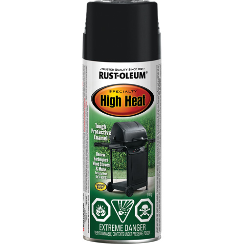 Specialty High Heat Enamel Spray Paint, Aerosol Can, Black Advanced Consulting and Training Ltd.