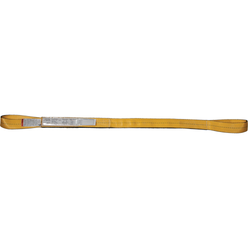 &eacute;lingues de levage en nylon, Pli Double, Oeillet double, Type 3, 2" la x 3' lo, Limite de charge verticale 6200 lb Advanced Consulting and Training Ltd.