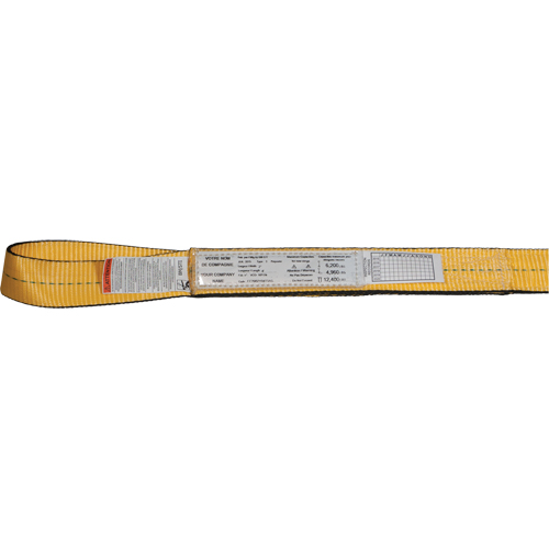 &eacute;lingues de levage en nylon, Pli Double, Oeillet double, Type 3, 2" la x 3' lo, Limite de charge verticale 6200 lb Advanced Consulting and Training Ltd.