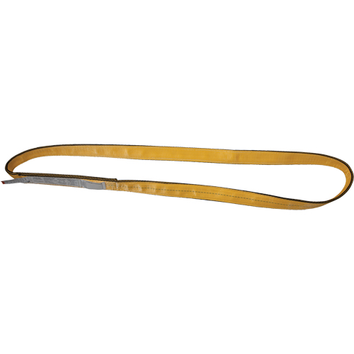 &eacute;lingues de levage en nylon, Pli Simple, Sans fin, Type 5, 3" la x 3' lo, Limite de charge verticale 9400 lb Advanced Consulting and Training Ltd.