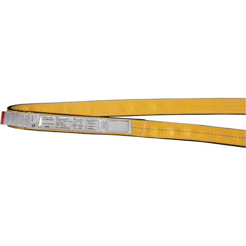&eacute;lingues de levage en nylon, Pli Simple, Sans fin, Type 5, 3" la x 3' lo, Limite de charge verticale 9400 lb Advanced Consulting and Training Ltd.