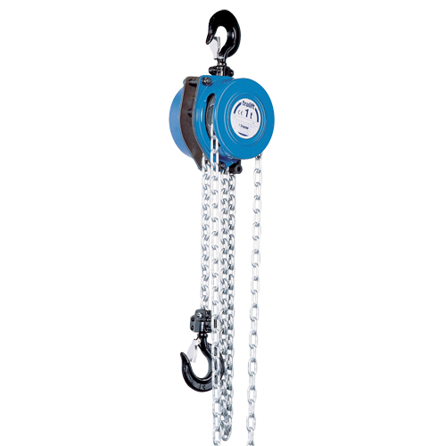 Tralift&reg; Chain Hoist, 20' Lift, 3000 lbs. (1.5 tons) Capacity, Grade 80 Chain Advanced Consulting and Training Ltd.