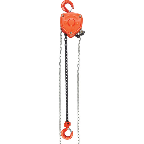 Chain Hoist, 20' Lift, 1000 lbs. (0.45 tons) Capacity, Alloy Steel Chain Advanced Consulting and Training Ltd.