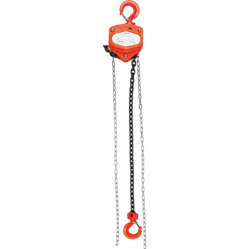 Chain Hoist, 20' Lift, 1000 lbs. (0.45 tons) Capacity, Alloy Steel Chain Advanced Consulting and Training Ltd.