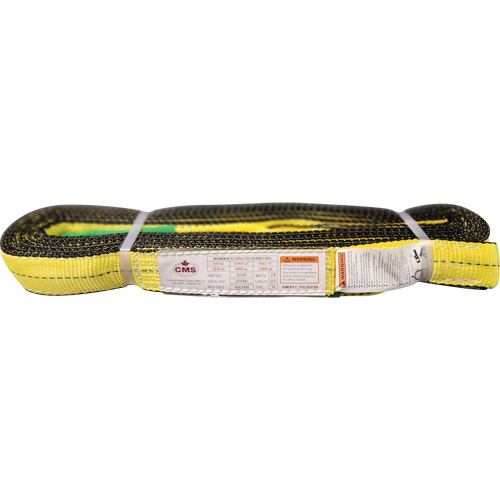 &eacute;lingue en sangle de polyester, Pli Double, Oeillets renvers&eacute;s, Type 4, 2" la x 20' lo, Capacit&eacute; verticale 6400 lb Advanced Consulting and Training Ltd.