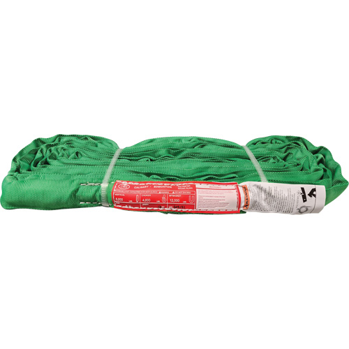 &eacute;lingue ronde en polyester, Vert, 12' lo, 6000 lb Charge verticale Advanced Consulting and Training Ltd.
