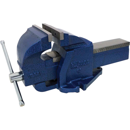 &eacute;tau d'&eacute;tabli en fonte ductile, Largeur des m&acirc;choires 6", Profondeur de la gorge 3-3/4" Advanced Consulting and Training Ltd.