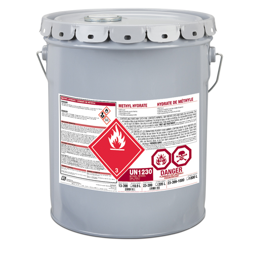 Methyl Hydrate, Pail Advanced Consulting and Training Ltd.