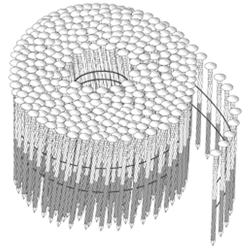 15° Coil Nails - Wire Collated Advanced Consulting and Training Ltd.