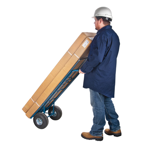 Load Retention Hand Truck, Dual Handle, Steel, 53" Height, 600 lbs. Capacity Advanced Consulting and Training Ltd.