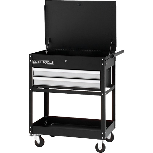 Utility Cart, 2 Drawers, 30-1/4" L x 19" W x 35-3/4" H, Black Advanced Consulting and Training Ltd.
