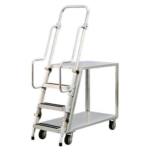 Chariot de pr&eacute;paration en aluminium avec &eacute;chelle, Aluminium, 22" la x 51-1/2" p, 2 tablettes, Capacit&eacute; 800 lb Advanced Consulting and Training Ltd.