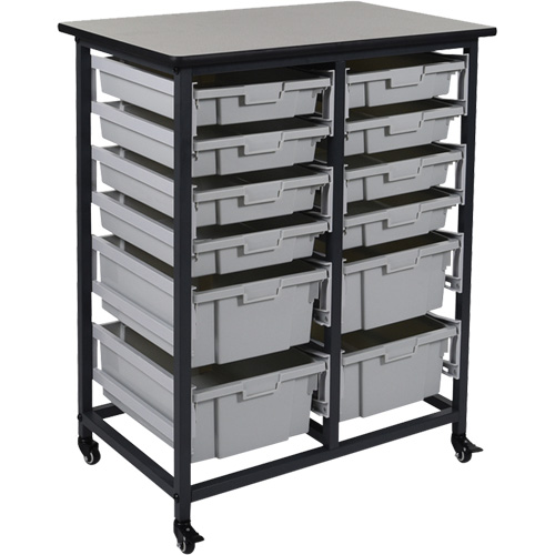 Rangement mobile pour bacs, &agrave; un c&ocirc;t&eacute;, 12 bacs, 30-3/4" la x 20" p x 37-1/2" h Advanced Consulting and Training Ltd.