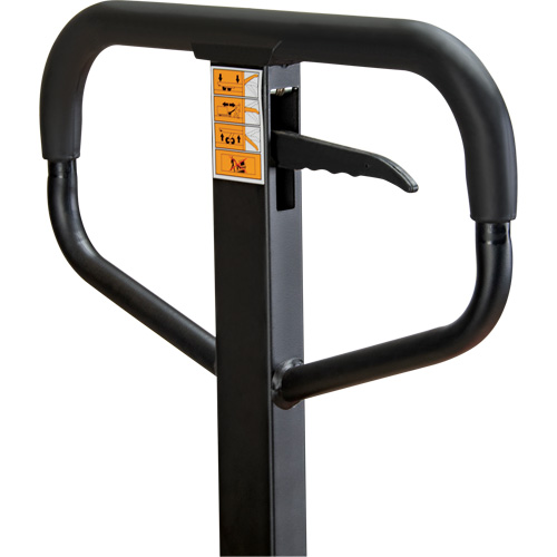 Transpalette manuel, Acier, 48" lo x 21" la, Capacit&eacute; 5500 lb Advanced Consulting and Training Ltd.