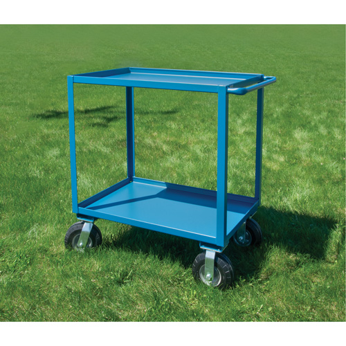 Outdoor Shelf Cart, 2 Tiers, 18" W x 39" H x 33" D, 1200 lbs. Capacity Advanced Consulting and Training Ltd.