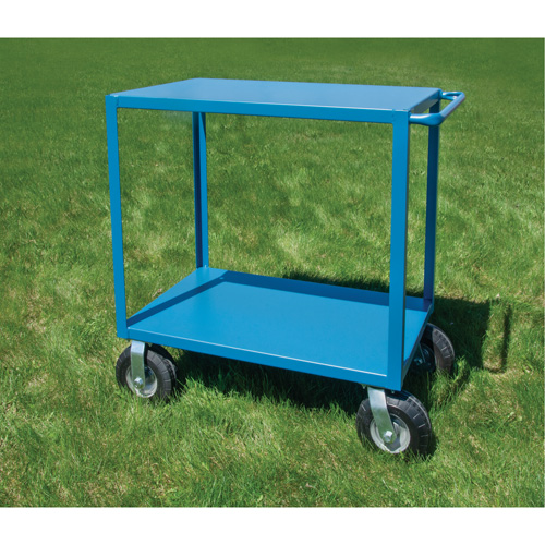 Outdoor Shelf Cart, 2 Tiers, 18" W x 39" H x 33" D, 1200 lbs. Capacity Advanced Consulting and Training Ltd.