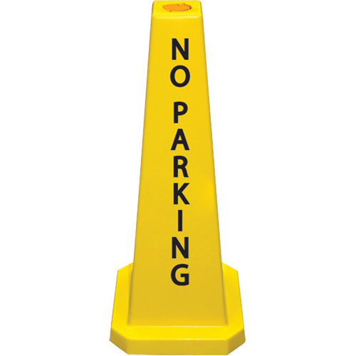 C&ocirc;nes de d&eacute;viation  No Parking , Anglais Advanced Consulting and Training Ltd.