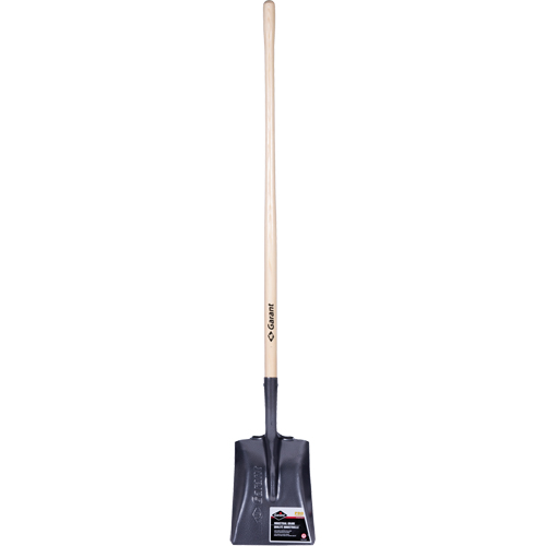 Pelle carr&eacute;e  Pro, Bois, Lame Acier durci, Manche en Droit, Longueur 48" Advanced Consulting and Training Ltd.