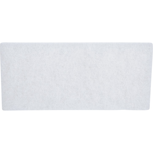 Doodlebug Scrubber Pad, 10" L x 4-5/8" W Advanced Consulting and Training Ltd.