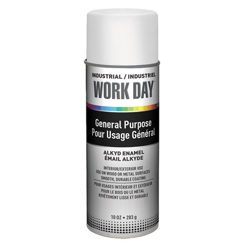 Peinture industrielle Work Day, Blanc, Tr&egrave;s mat, 10 oz, Canette a&eacute;rosol Advanced Consulting and Training Ltd.