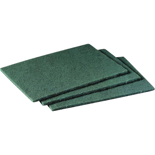 Scotch-Brite Hand Pads, 9" L x 6" W Advanced Consulting and Training Ltd.