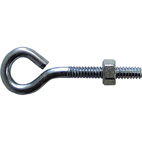 Eye Bolt, 3/8" Dia., 6" L, Zinc Plated Advanced Consulting and Training Ltd.