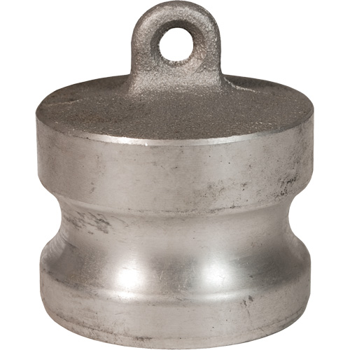 Bouchon anti-poussi&egrave;re &agrave; came et cannelure Dixon Advanced Consulting and Training Ltd.