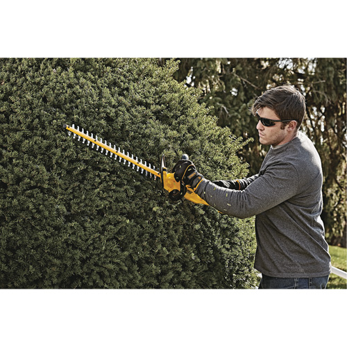 Taille-haie MAX*, 22", 20 V, &agrave; pile Advanced Consulting and Training Ltd.