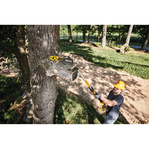 MAX* XR Cordless Polesaw Advanced Consulting and Training Ltd.