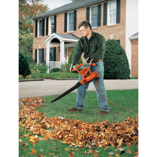 Souffleur/aspirateur/broyeur de feuilles, Vitesse d'air 210 mi/h, &eacute;lectrique Advanced Consulting and Training Ltd.