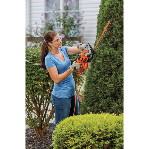 Hedge Trimmer, 16", Electric Advanced Consulting and Training Ltd.