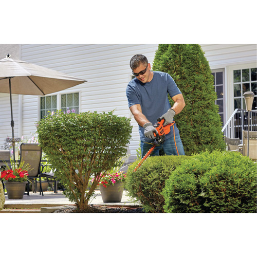 Hedge Trimmer, 17", Electric Advanced Consulting and Training Ltd.