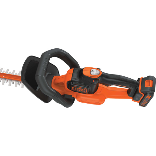 Ensemble de taille-haie sans fil Max* PowerCut, 22", 20 V, &agrave; pile Advanced Consulting and Training Ltd.