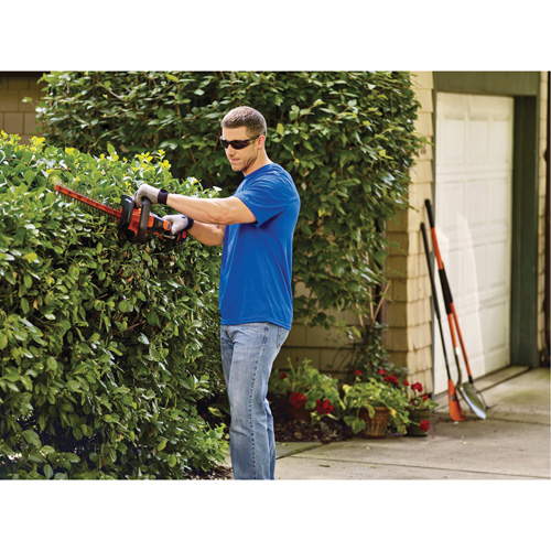 Ensemble de taille-haie sans fil Max* PowerCut, 22", 20 V, &agrave; pile Advanced Consulting and Training Ltd.