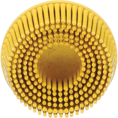 Scotch-Brite Roloc Bristle Disc, Ceramic, Medium Grit, 2" Dia. Advanced Consulting and Training Ltd.