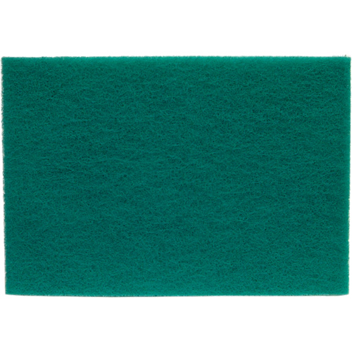Tampons manuels Bear-Tex, Oxyde d'aluminium, 6" x 9", Grain Tr&egrave;s fin Advanced Consulting and Training Ltd.