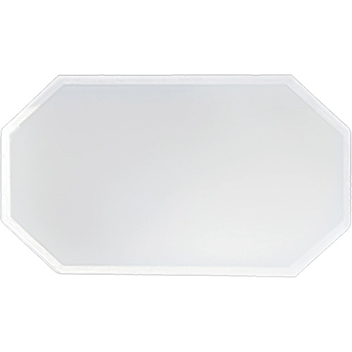 Replacement Plastic Shield for Suction & Pressure Cabinets Advanced Consulting and Training Ltd.