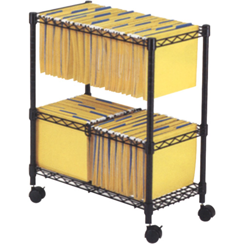 File Carts- 2-tier Rolling File Cart Advanced Consulting and Training Ltd.