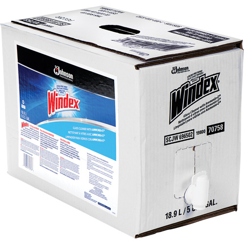 Windex&reg; Glass Cleaner with Ammonia-D&reg;, 5 gal., Bag Advanced Consulting and Training Ltd.