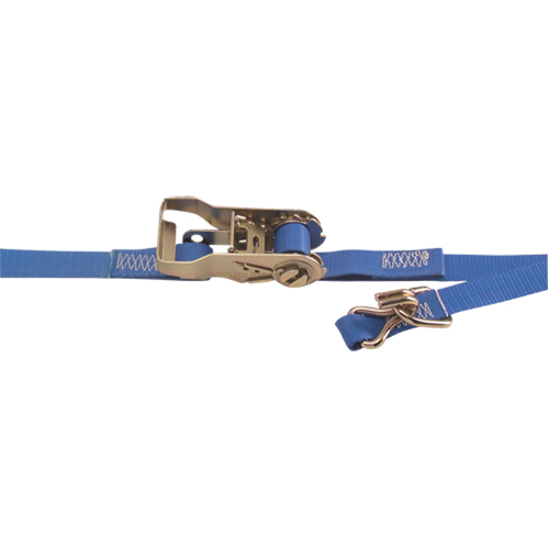 Tendeurs d'arrimage robustes, Rochet, 1" la x 16' lo, Charge d'utilisation 835 lb (380 kg) Advanced Consulting and Training Ltd.