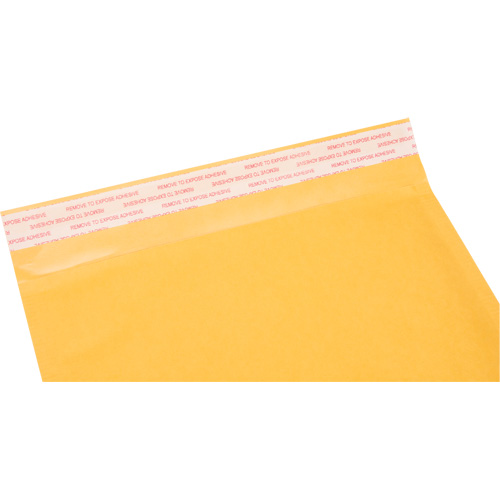 Enveloppes postales coussin&eacute;es, Kraft, 8-1/2" la x 14-1/4" lo Advanced Consulting and Training Ltd.
