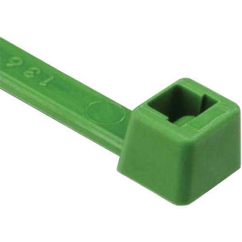 T Series Cable Ties, 8" Long, 50 lbs. Tensile Strength, Green Advanced Consulting and Training Ltd.