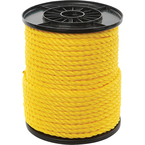 Corde torsad&eacute;e jaune &agrave; trois brins 3/8", Polypropyl&egrave;ne, 250' Advanced Consulting and Training Ltd.